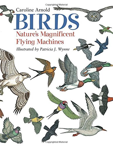 Beispielbild fr Birds: Nature's Magnificent Flying Machines zum Verkauf von Books of the Smoky Mountains