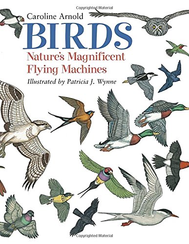 Stock image for Birds: Nature's Magnificent Flying Machines for sale by Blue Marble Books LLC