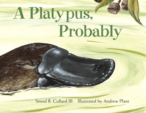 9781570915833: A Platypus, Probably