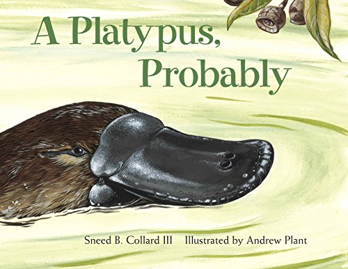 Stock image for A Platypus, Probably for sale by Once Upon A Time Books