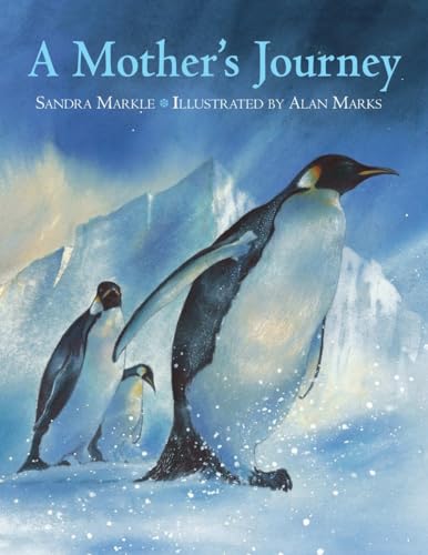 9781570916212: A Mother's Journey