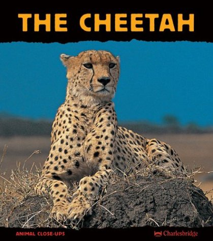 Beispielbild fr The Cheetah zum Verkauf von Better World Books