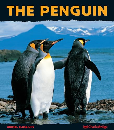 9781570916281: The Penguin: A Funny Bird (Animal Close-Ups)