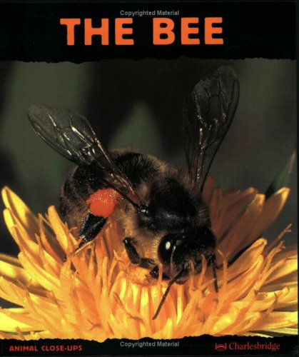 Beispielbild fr The Bee: Friend Of The Flowers (Animal Close-Ups) zum Verkauf von SecondSale