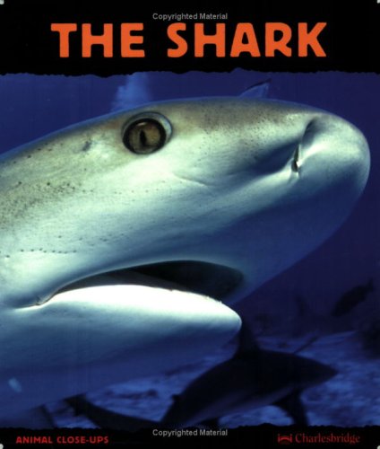 Beispielbild fr The Shark: Silent Hunter (Animal Close-Ups) zum Verkauf von HPB Inc.
