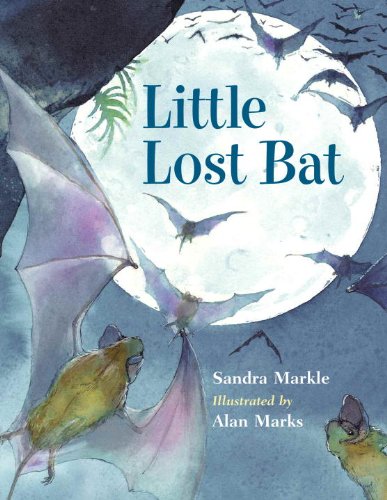 Little Lost Bat (9781570916564) by Markle, Sandra