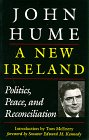 Stock image for A New Ireland: Politics, Peace, and Reconciliation for sale by St Vincent de Paul of Lane County