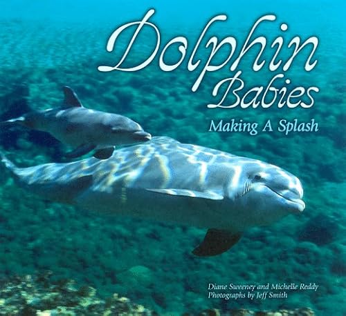 Stock image for Dolphin Babies: Making a Splash for sale by WorldofBooks