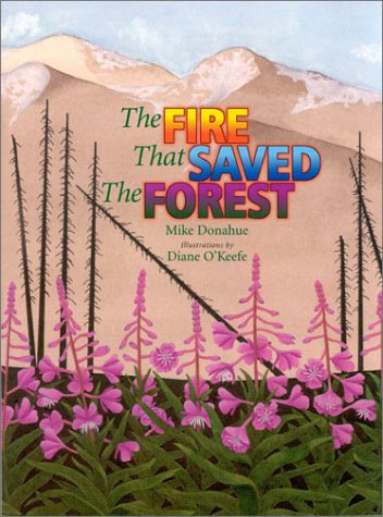 Beispielbild fr The Fire that Saved the Forest zum Verkauf von Front Cover Books