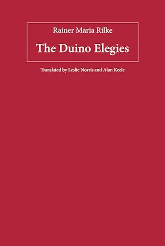 9781571133915: The Duino Elegies: 90 (Studies in German Literature Linguistics and Culture)