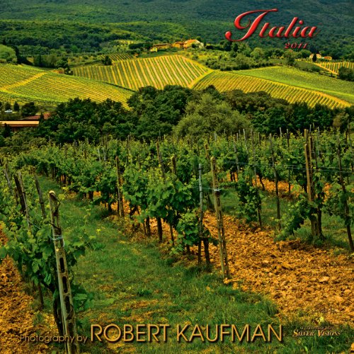 Italia 2011 (English and Italian Edition) (9781571151933) by Robert Kaufman