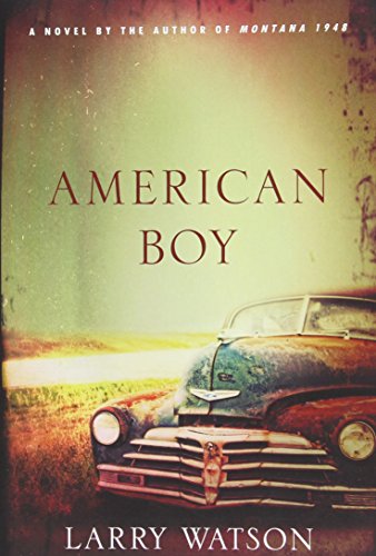 9781571310781: American Boy: A Novel