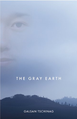 9781571310859: The Gray Earth: A Novel