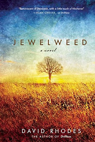 Beispielbild fr Jewelweed: A Novel zum Verkauf von Gulf Coast Books