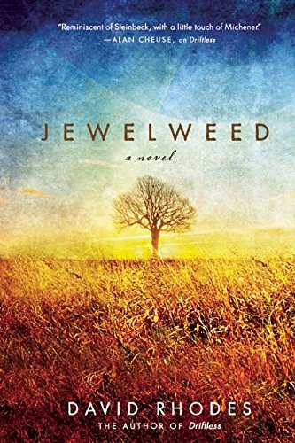 Jewelweed: A Novel (9781571311009) by Rhodes, David