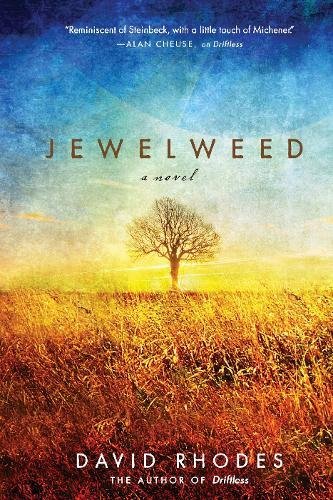 Imagen de archivo de Jewelweed: A Novel a la venta por SecondSale