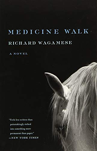 Stock image for Medicine Walk for sale by Dream Books Co.