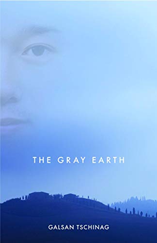 9781571311221: The Gray Earth