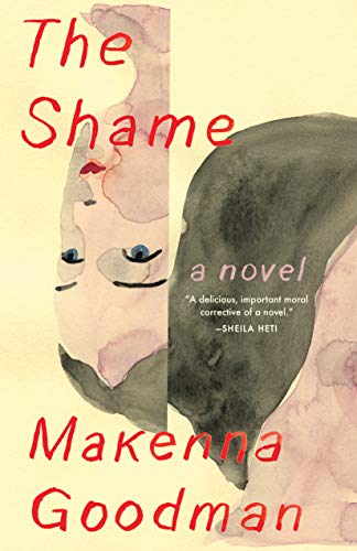 Beispielbild fr The Shame: A Novel zum Verkauf von SecondSale