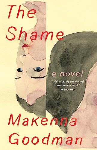 Stock image for The Shame: A Novel