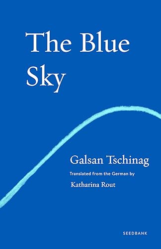 Beispielbild fr The Blue Sky: A Novel (Seedbank) zum Verkauf von Goodwill of Colorado