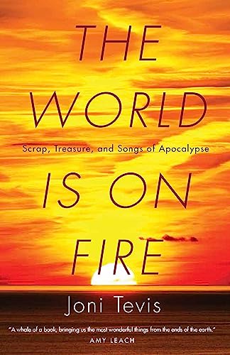 Beispielbild fr The World Is on Fire : Scrap, Treasure, and Songs of Apocalypse zum Verkauf von Better World Books