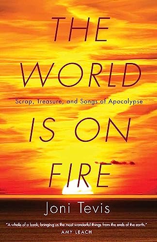 Imagen de archivo de The World Is on Fire : Scrap, Treasure, and Songs of Apocalypse a la venta por Better World Books