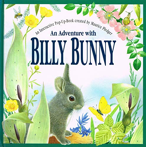 Beispielbild fr An Adventure With Billy Bunny: Peek-and-Find zum Verkauf von Wonder Book