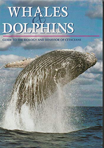 Stock image for Whales and Dolphins: A Guide to the Biology and Behavior of Cetaceans for sale by ThriftBooks-Dallas
