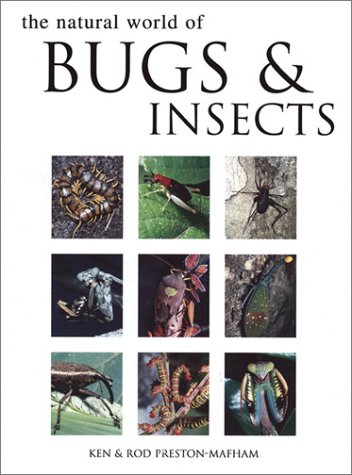 Imagen de archivo de Natural World of Bugs and Insects a la venta por Wonder Book