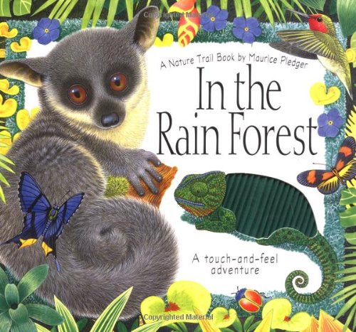 Beispielbild fr In the Rain Forest : A Touch-and-Feel Adventure zum Verkauf von Better World Books