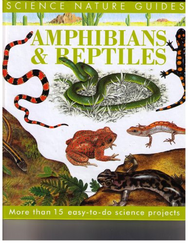 Stock image for Amphibians and Reptiles (Science Nature Guides) for sale by Hawking Books