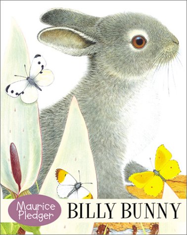 9781571455963: Billy Bunny Board Book