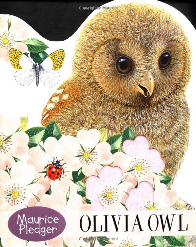 Stock image for Olivia Owl Board Book for sale by More Than Words