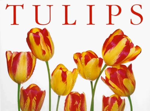 Beispielbild für Tulips zum Verkauf von Hippo Books