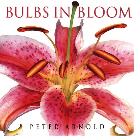 9781571456458: Bulbs in Bloom: Bulbs, Corms, Tubers, Rhizomes, and Tuberous Roots