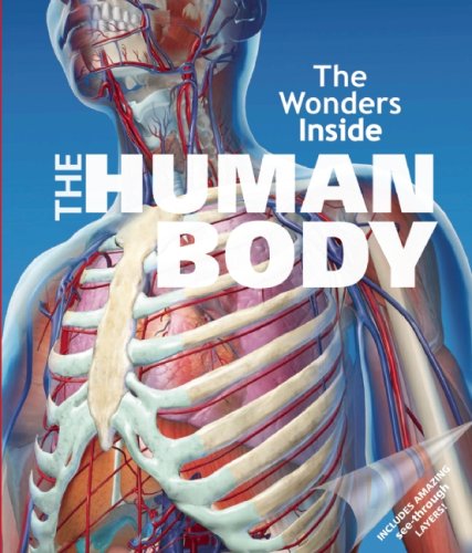 Stock image for The Human Body (The Wonders Inside) for sale by Front Cover Books