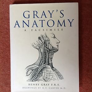 Gray's Anatomy: A Facsimilie (9781571457271) by Gray, Henry F. R. S.