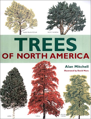 Imagen de archivo de Trees of North America a la venta por Better World Books: West
