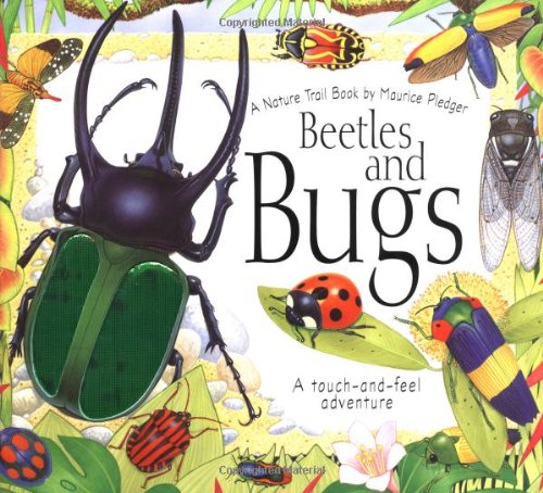 Imagen de archivo de Beetles and Bugs : A Touch and Feel Adventure a la venta por Better World Books