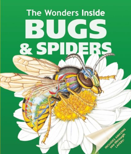 9781571459077: Wonders Inside: Bugs & Spiders