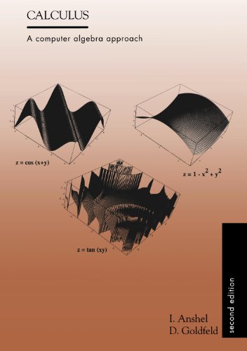 Beispielbild fr Calculus : A Computer Algebra Approach (2nd ed) zum Verkauf von HPB-Red