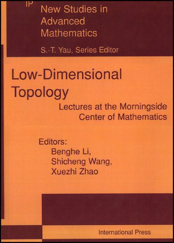 Stock image for Low Dimensional Topology, Lectures At The Morningside Center Of Mathematics for sale by Ammareal