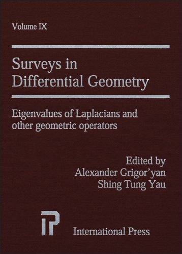 9781571461155: Surveys In Differential Geometry Volume Ix: 9