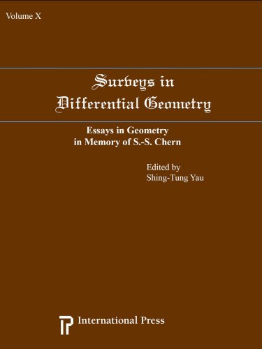Stock image for Surveys in Differential Geometry, Vol. 10: Essays in Geometry in Memory of S.S. Chern (2008 reissue) for sale by HPB-Red