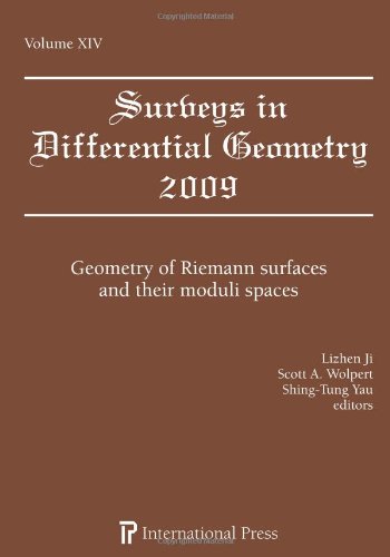 Imagen de archivo de Surveys in Differential Geometry: Geometry of Riemann Surfaces and Their Moduli Spaces: Vol 14 a la venta por Revaluation Books