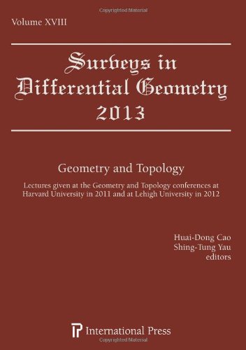 Imagen de archivo de Surveys in Differential Geometry, Vol. 18 (2013): Geometry and Topology a la venta por Revaluation Books