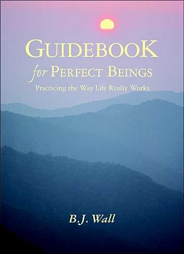 9781571742438: Guidebook for Perfect Beings: Practicing the Way Life Really Works