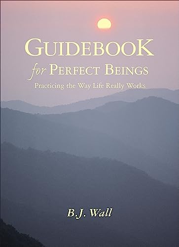 9781571742438: Guidebook for Perfect Beings: Practicing the Way Life Really Works