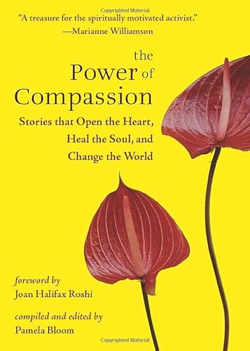 Stock image for The Power of Compassion: Stories That Open the Heart, Heal the Soul, and Change the World for sale by Ergodebooks